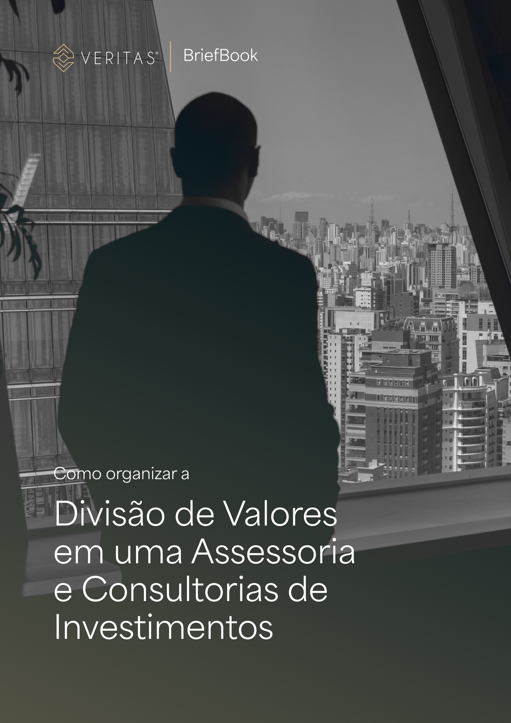 Página do material Divisão de Valores em Assessorias e Consultorias de Investimentos