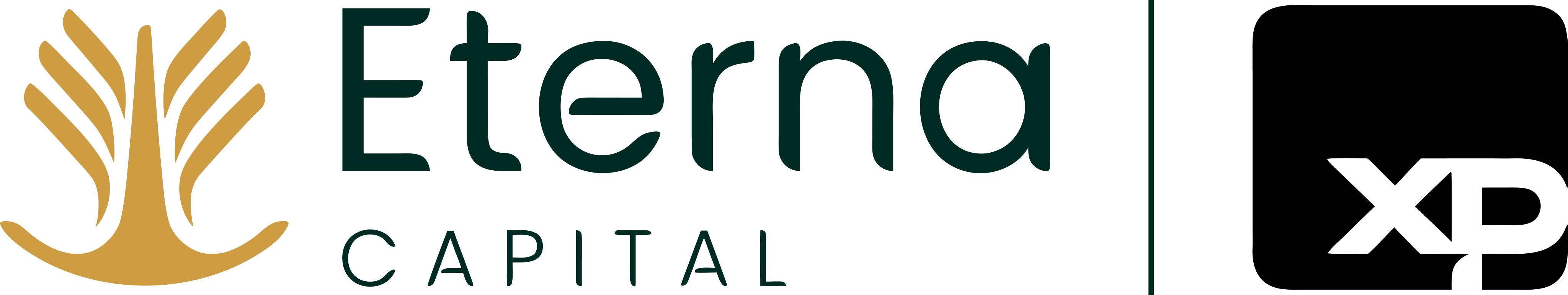 Eterna Capital Assessor de Investimentos LTDA